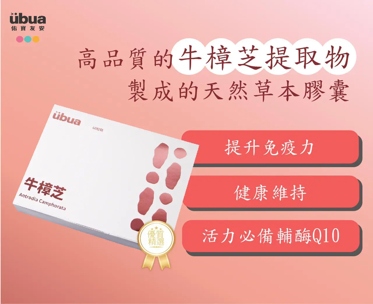 UBUA牛樟芝膠囊 - 高品質的牛樟芝提取物製成的天然草本膠囊 1